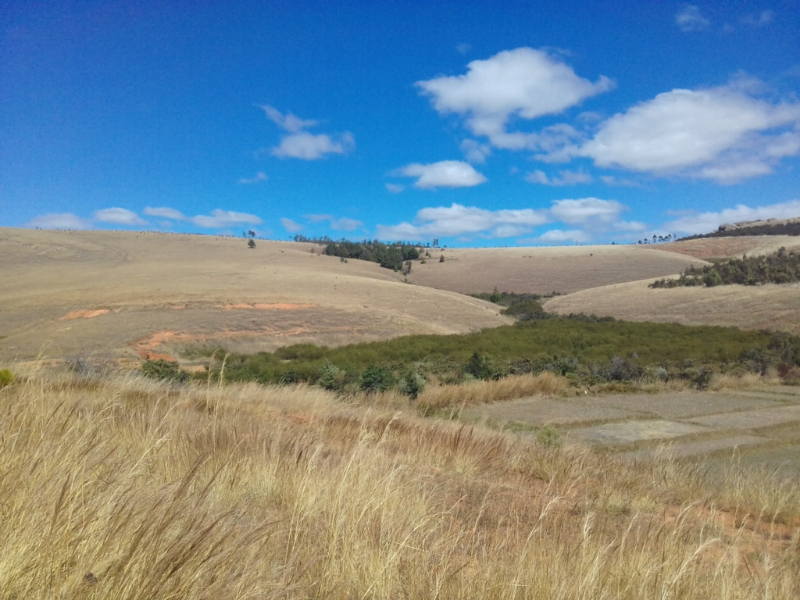 A VENDRE TRES URGENT TERRAIN 30 HA AVEC 2 MAISON   - Tananarivo, Madagascar