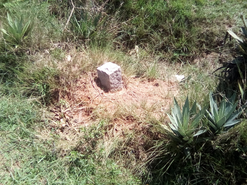 URGENT URGENT A VENDRE TERRAIN BORD DE ROUTE SOAVINA Miniature 1