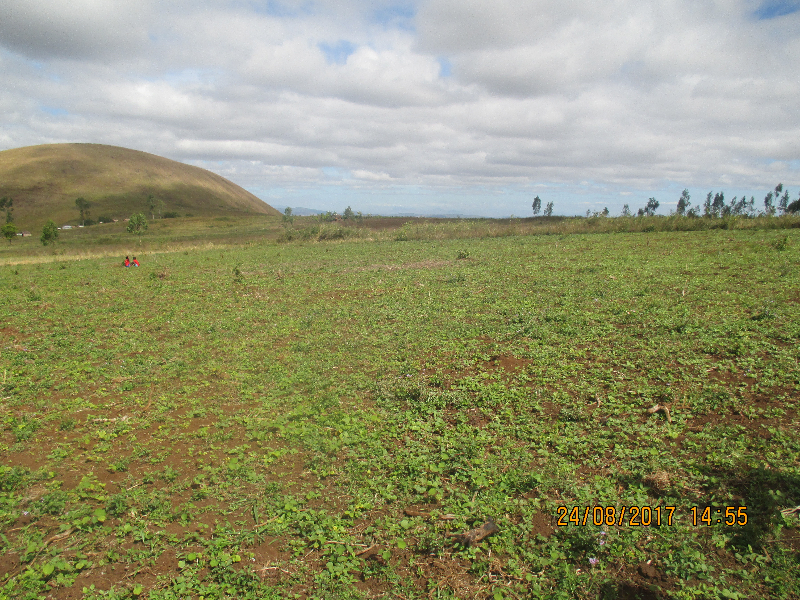 TERRAIN AGRICOLE 20ha A VENDRE - Antsiranana, Madagascar