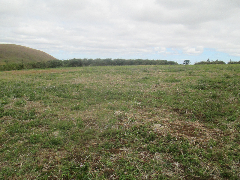 TERRAIN AGRICOLE 20ha A VENDRE Miniature 1