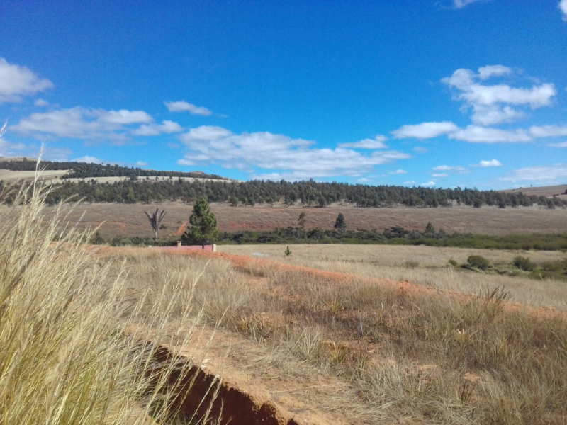 A VENDRE TRES URGENT TERRAIN 30 HA AVEC 2 MAISON  Miniature 1