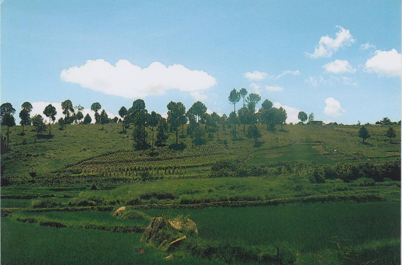TERRAIN A VENDRE 20ha ANKOFIKA TANA - Tananarivo, Madagascar