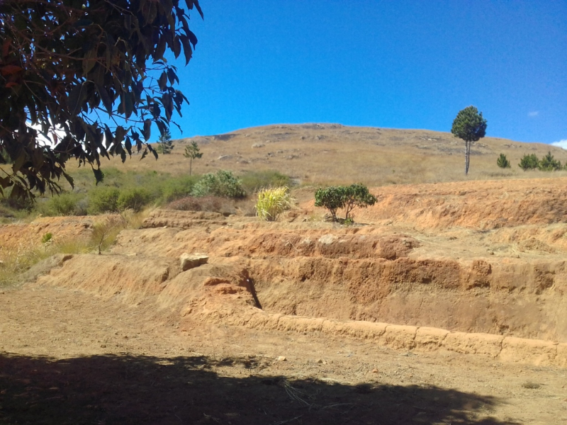 A VENDRE TRES URGENT TERRAIN 30 HA AVEC 2 MAISON  Miniature 3