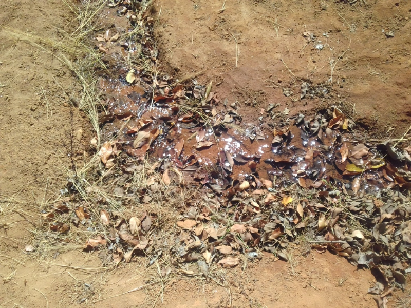 A VENDRE TRES URGENT TERRAIN 30 HA AVEC 2 MAISON  - Tananarivo, Madagascar