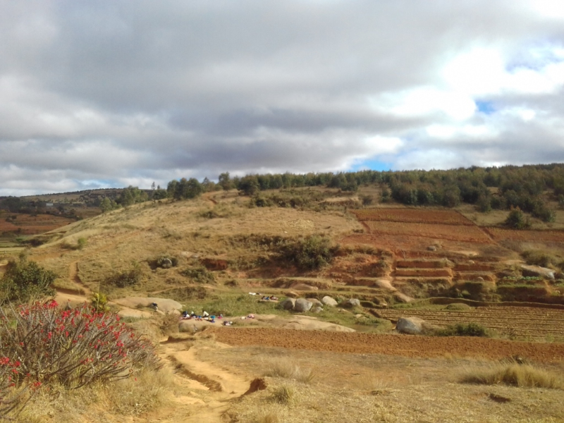 TERRAIN A VENDRE A TALATA VOLONONDRY - TANA, MADA