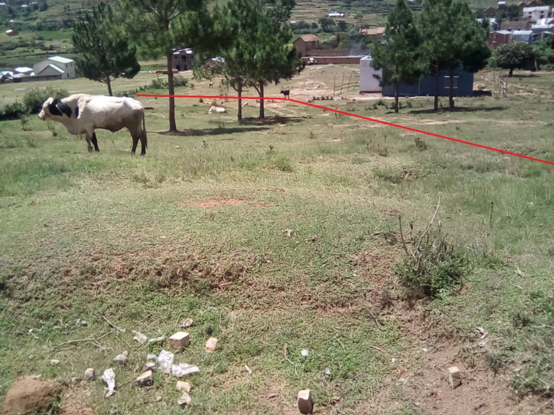 URGENT URGENT A VENDRE TERRAIN BORD DE ROUTE Miniature 1
