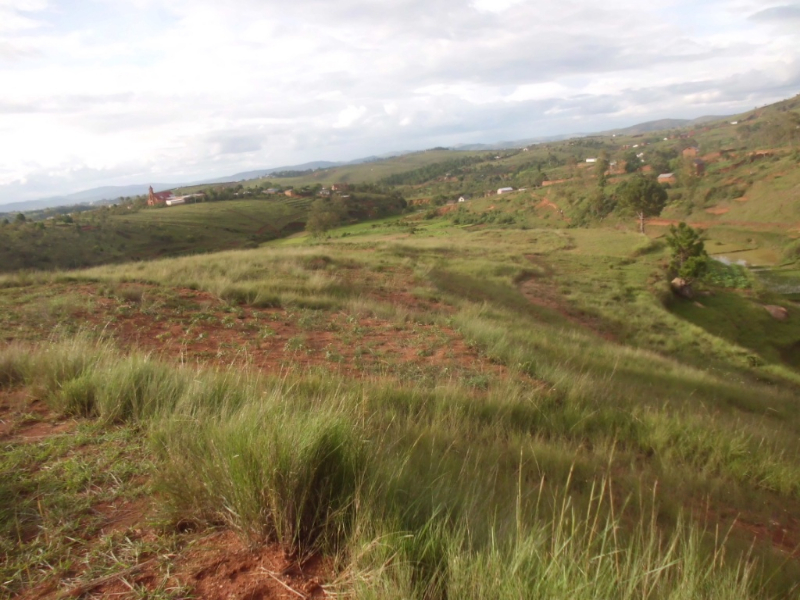 A VENDRE TERRAIN 3Ha Lieu : Ikianja Avaratra Ambohimangakely Miniature 1
