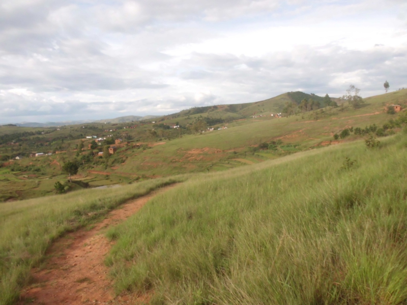 A VENDRE TERRAIN 3Ha Lieu : Ikianja Avaratra Ambohimangakely Miniature 3