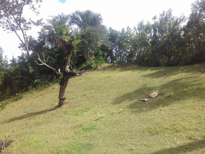 A VENDRE MAISON BASSE A FOULPOINTE  - tana, Mada
