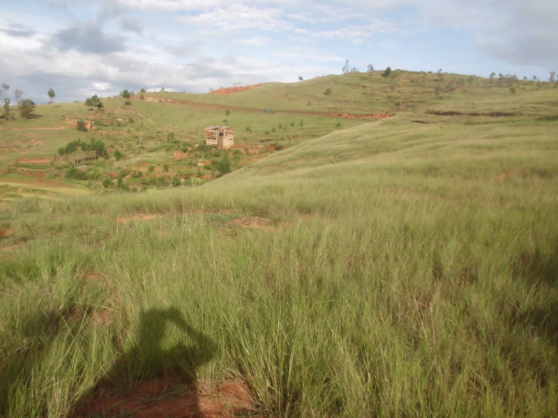 A VENDRE TERRAIN 3Ha 72a Antanetibe Ikianja Avaratra Ambohimangakely Miniature 1