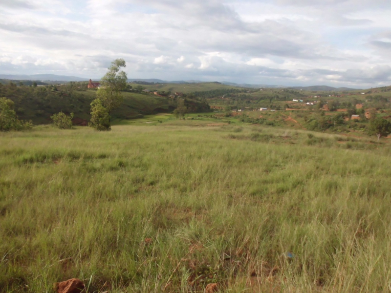 A VENDRE TERRAIN 3Ha 72a Antanetibe Ikianja Avaratra Ambohimangakely Miniature 2