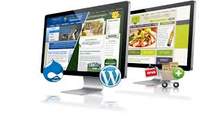 Création de votre site web à mini prix - Antananarivo, Madagascar