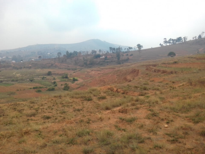A VENDRE TERRAIN ANTANETIBE IKIANJA AVARATRA - Tananarivo, Madagascar