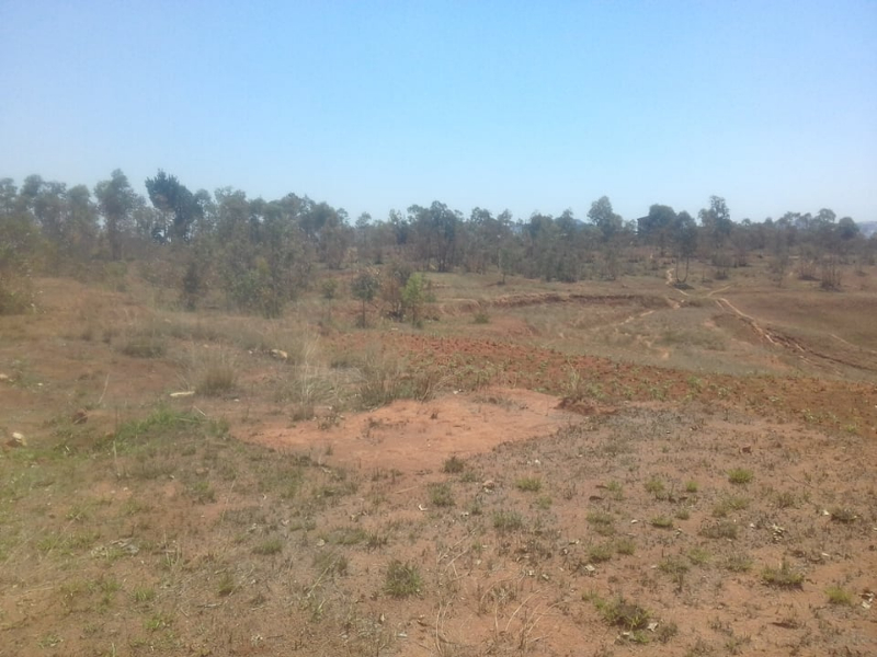 A VENDRE TERRAIN ANTANETIBE IKIANJA AVARATRA - Tananarivo, Mada