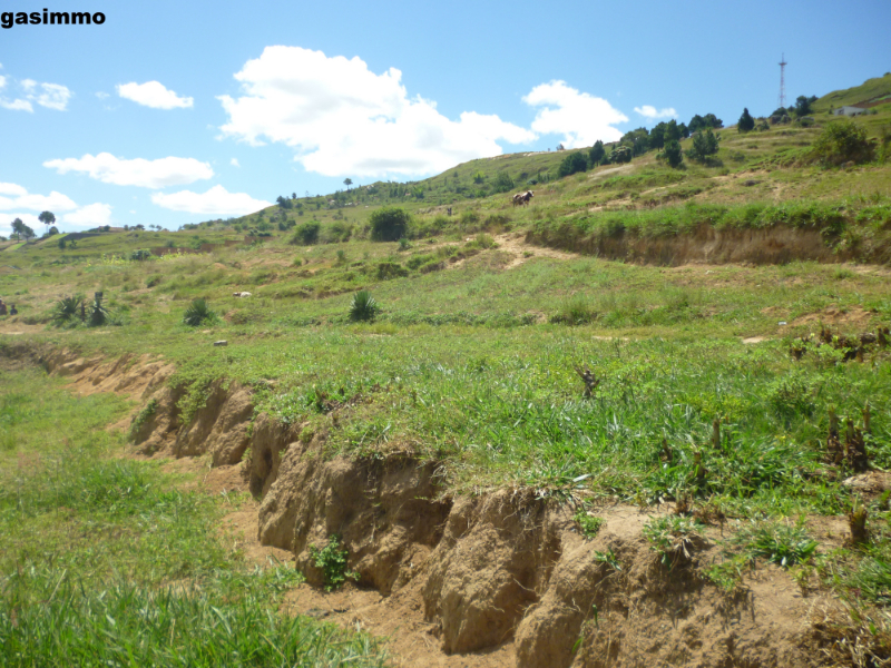 Ambatobe :  Un Terrain en vente – MV 464 - Antananarivo, Madagascar