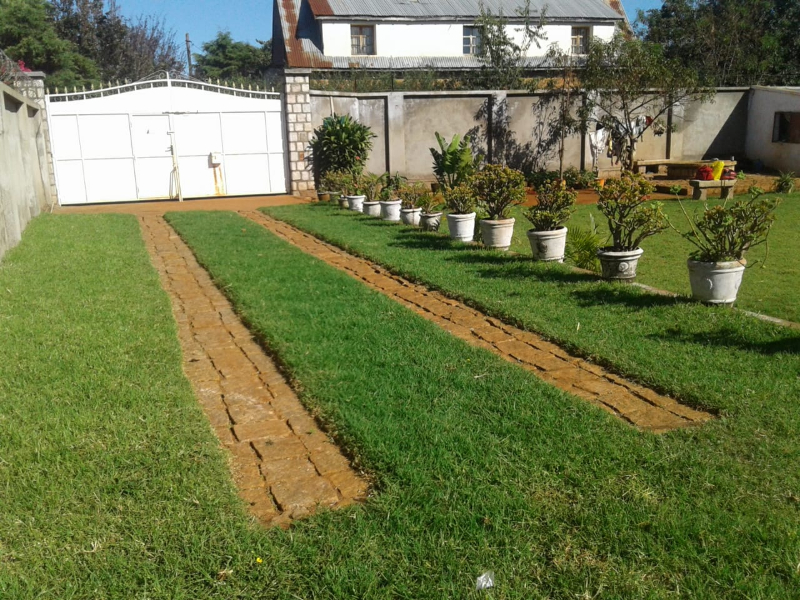 TERRAIN A VENDRE A ANTSIRABE VATOFOTSY Miniature 1