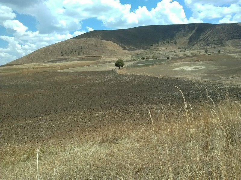 Terrain exploitable Analavory  - Tana, Mada