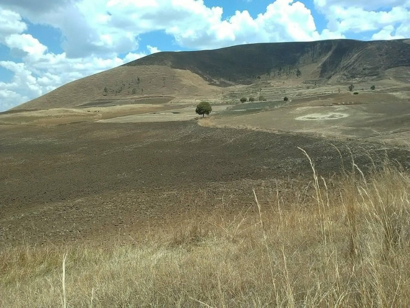 Terrain exploitable Analavory Miniature 2