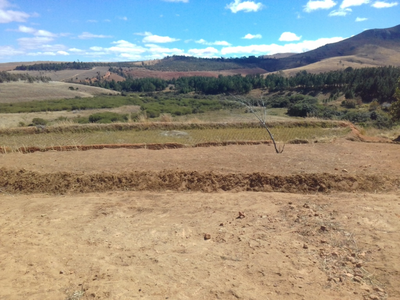 A VENDRE TERRAIN 40 HA AVEC MAISON A Madagascar - tana, Mada