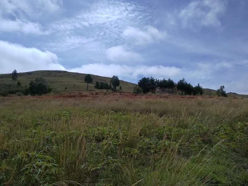 A VENDRE TERRAIN 40 HA AVEC MAISON A Madagascar - Tana, Mada