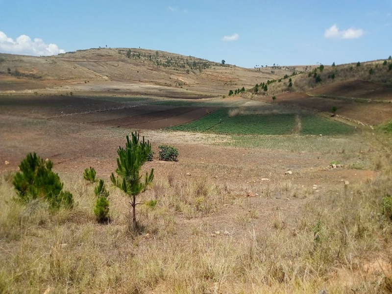 Terrain a Ampefy - Ampefy, Mada
