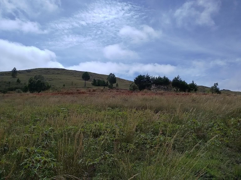 URGENT A VENDRE TERRAIN 40 HA  - Tana, Mada