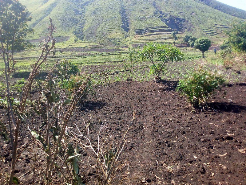 URGENT TERRAIN A VENDRE A ANALAVORY - Analavory, Mada