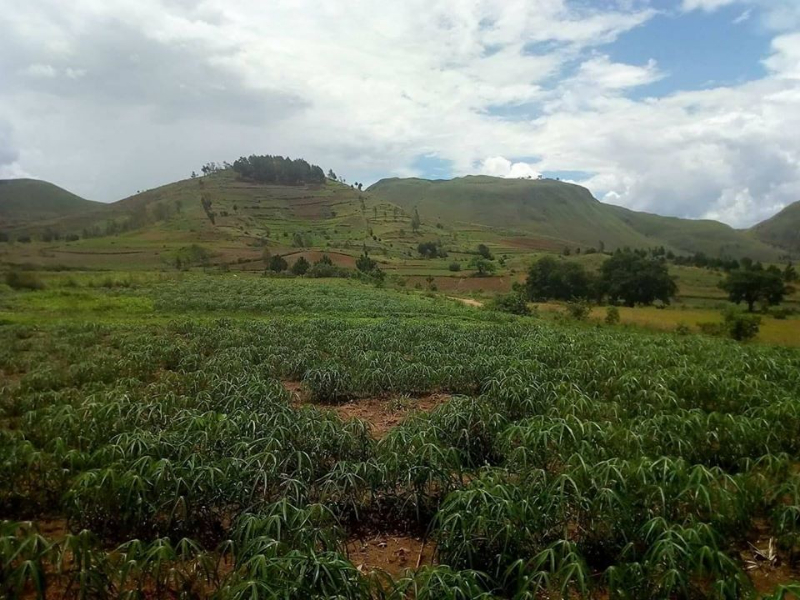 Terrain a vendre a ANALAVORY - Analavory, Mada