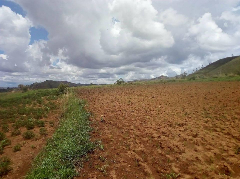 Terrain exploitable Analavory Miniature 3