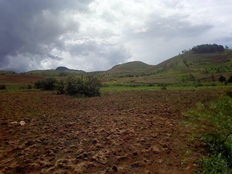 Terrain de 14ha a Analavory Miniature 3