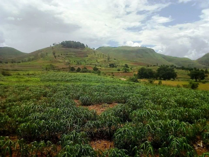 Terrain de 14ha a Analavory - ANALAVORY, Mada