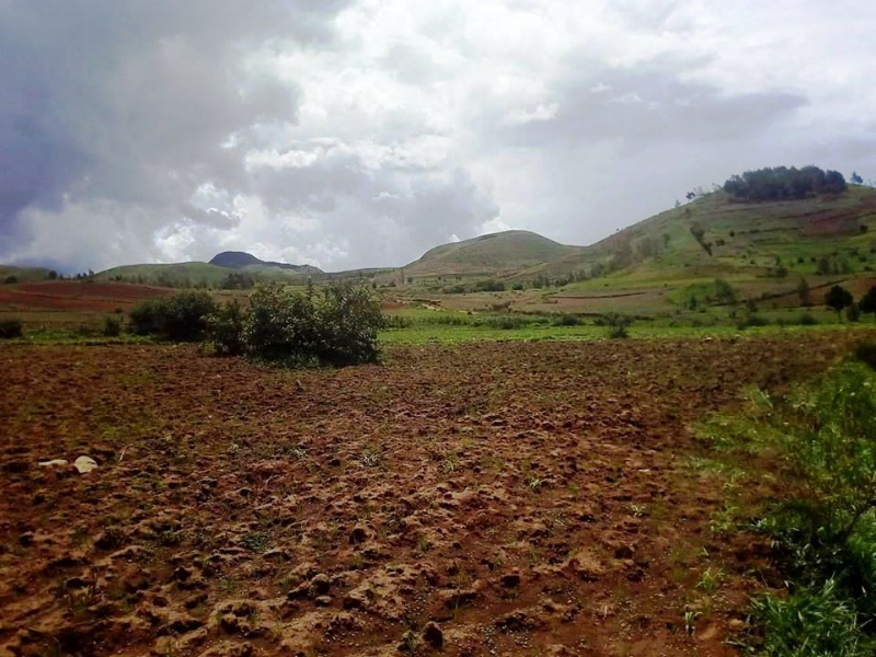 Terrain de 14ha a Analavory Miniature 3