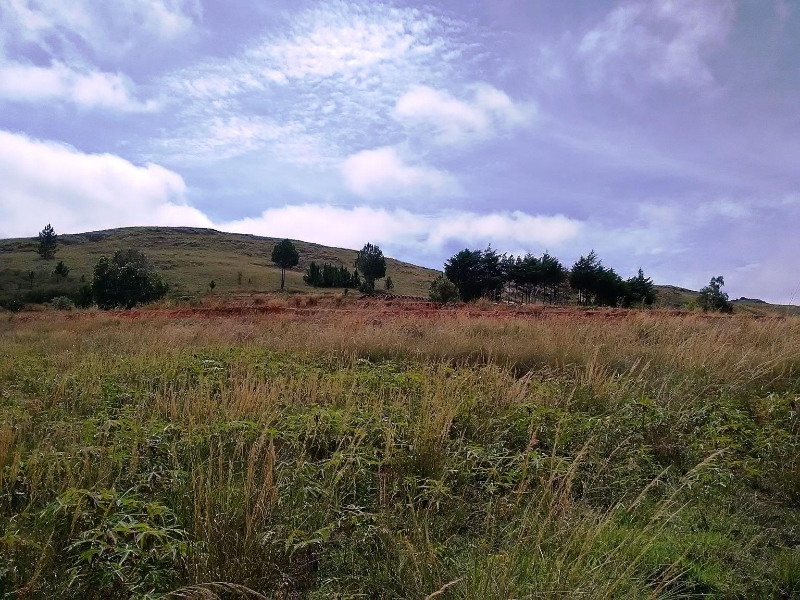 URGENT A VENDRE TERRAIN 40 HA - Ankazobe Andoharano, Mada