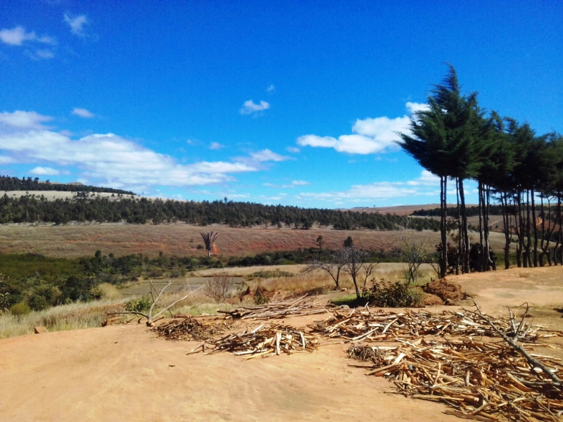 URGENT A VENDRE TERRAIN 40 HA Miniature 2