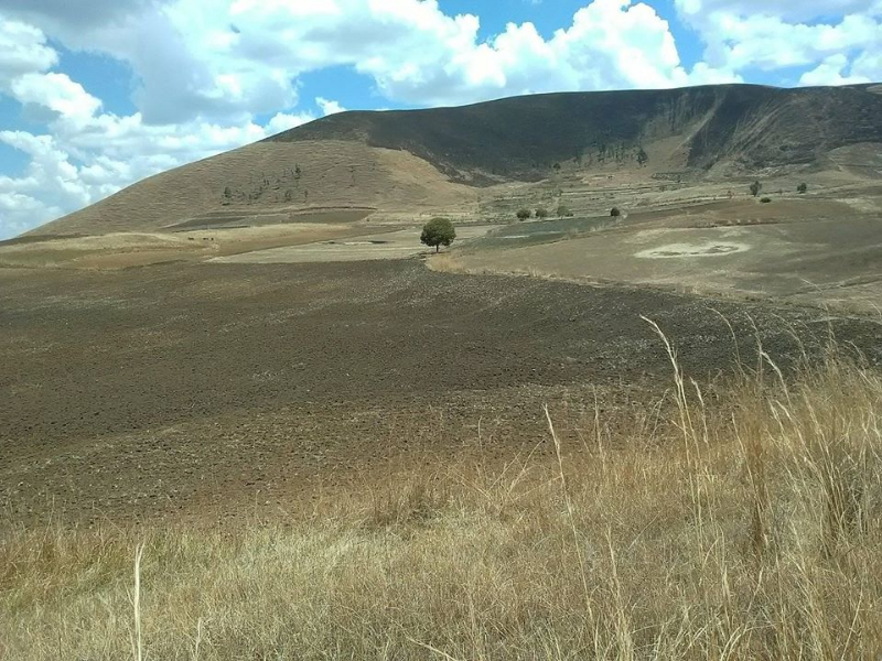 Terrain exploitable Analavory - Tana, Mada
