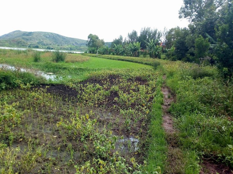 TERRAIN A VENDRE ANALAVORY ET AMPEFY - Analavory - Ampefy, Mada