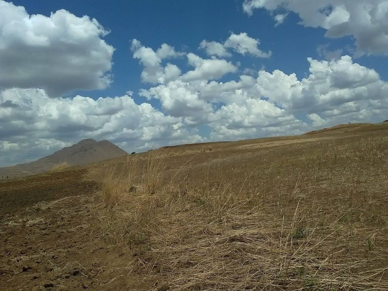 Terrain exploitable Analavory Miniature 2