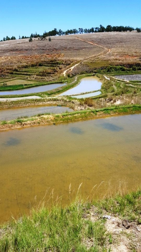 Terrain de 13 ha aménagés. - Ankazobe, Mada
