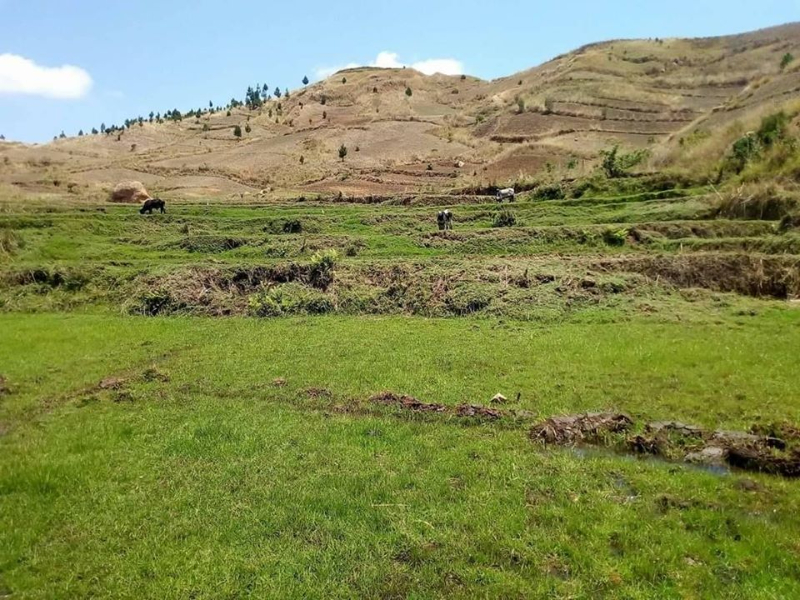 TERRAIN EXPLOITABLE A VENDRE - Tana, Mada