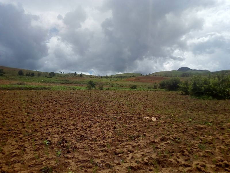 Terrain exploitable Analavory Miniature 1