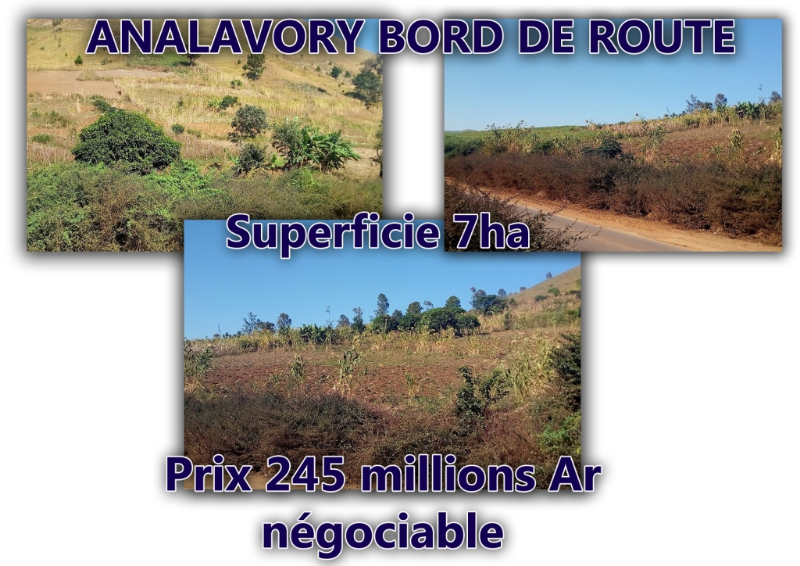 TERRAIN A VENDRE ANALAVORY AMPEFY - TAna, Mada