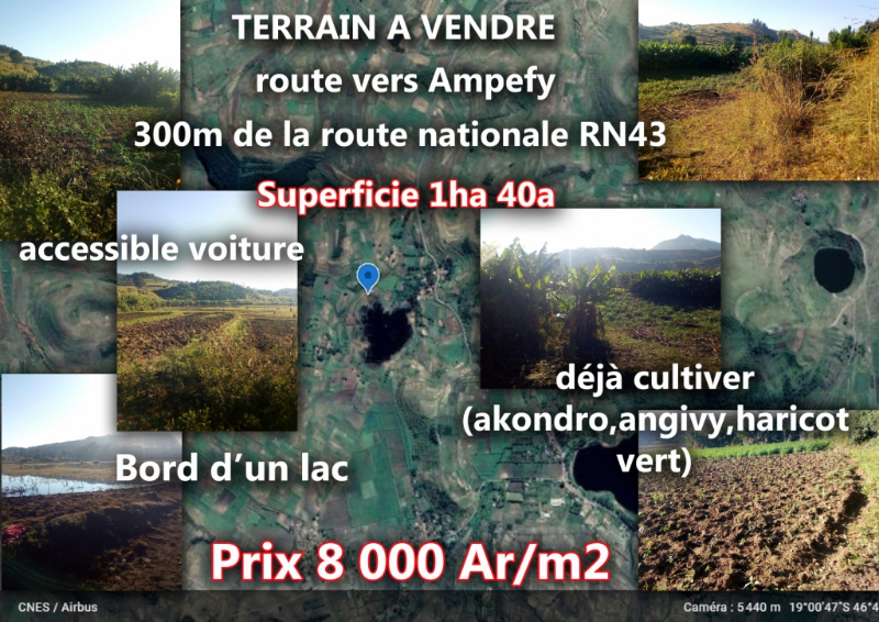 TERRAIN A VENDRE ANALAVORY AMPEFY Miniature 3