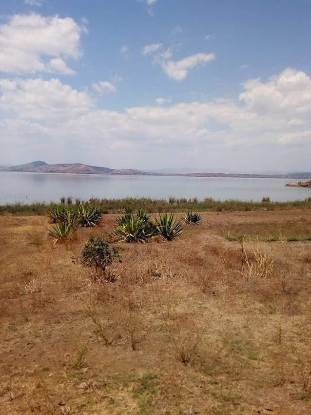 TERRAIN BORD DU LAC A AMPEFY - TANA - AMPEFY, MADA