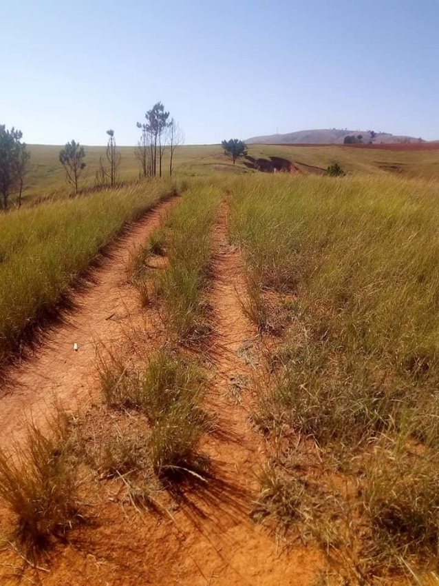 A VENDRE Terrain bord de route RN1 - Tana Analavory, Mada