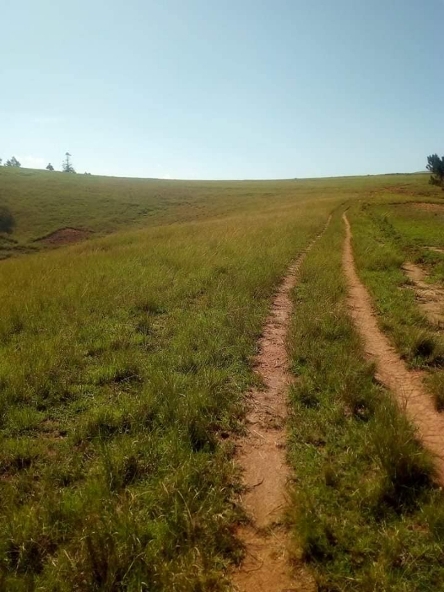A VENDRE TERRAIN BORD DE ROUTE RN1 Miniature 2
