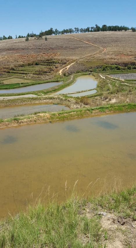 Terrain de 13 ha ANKAZOBE - TANA ANKAZOBE, Mada