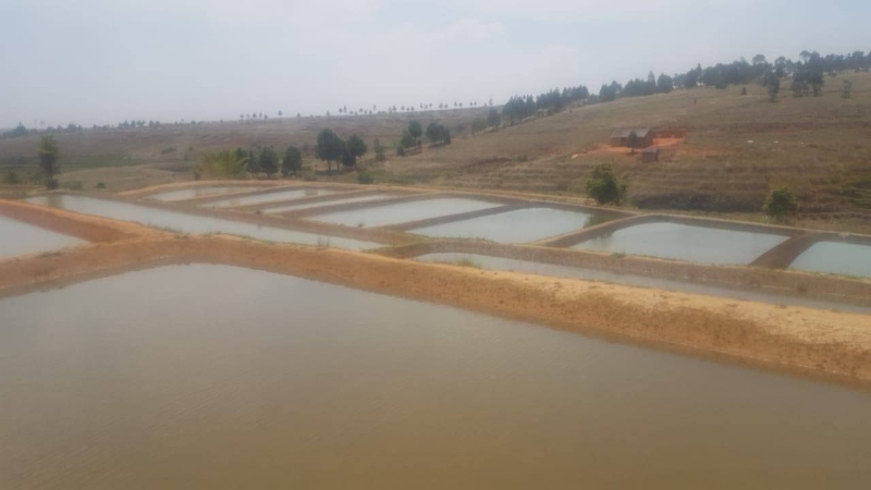 TERRAIN AVEC BASSIN PISCICOLE A VENDRE A ANKAZOBE Miniature 1