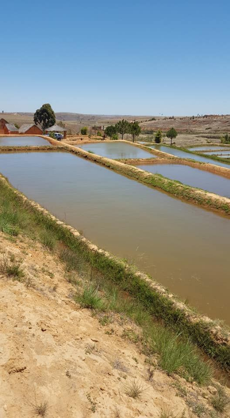 TERRAIN AVEC BASSIN PISCICOLE A VENDRE A ANKAZOBE Miniature 2