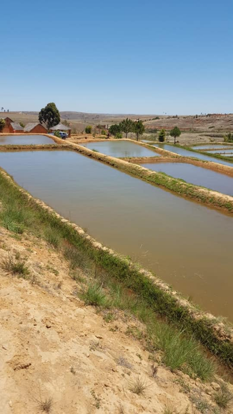 Terrain de 13 ha aménagés ANKAZOBE - Tana - Ankazobe, Mada