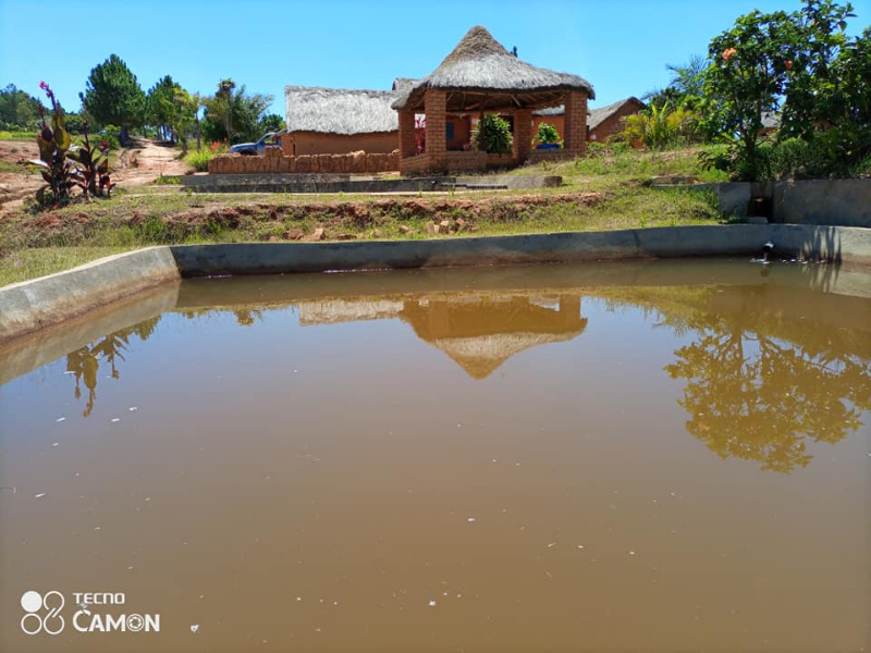 TERRAIN AVEC BASSIN PISCICOLE A ANKAZOBE - tana, Mada